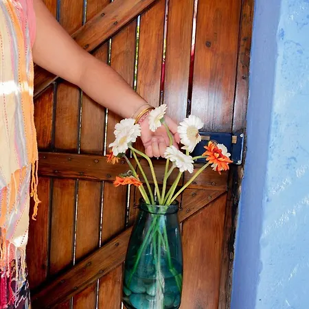 Apartman Asteri Living *